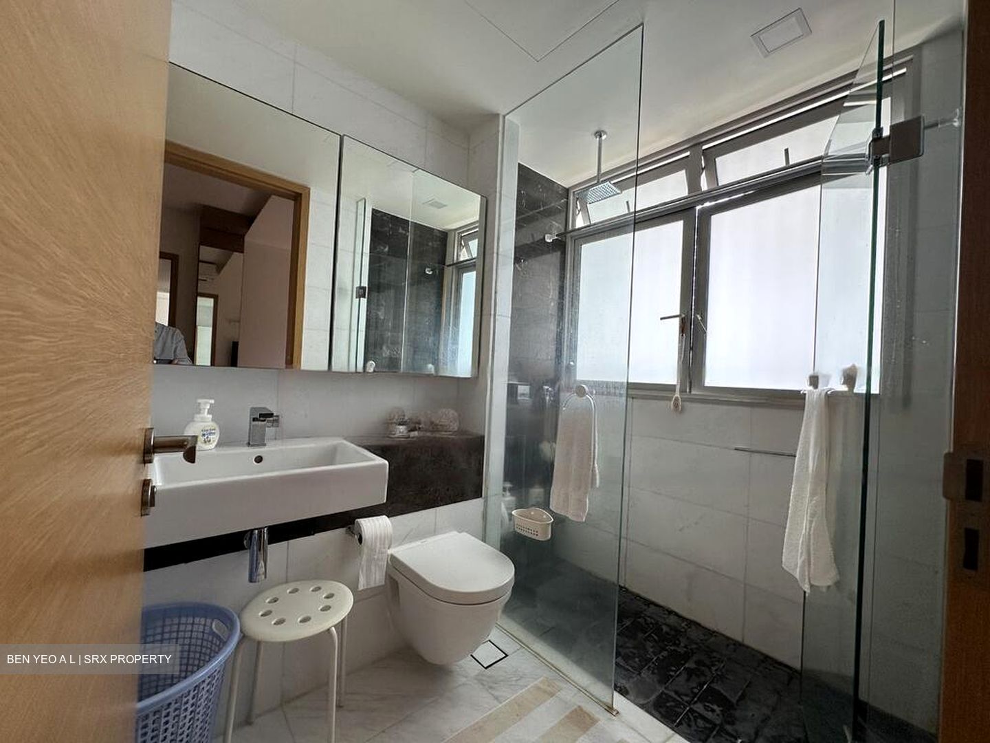 RV Residences (D10), Condominium #458594071